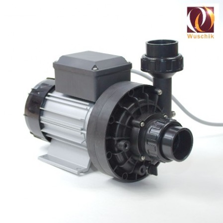 Foto Whirlpoolpumpe 1350 Watt